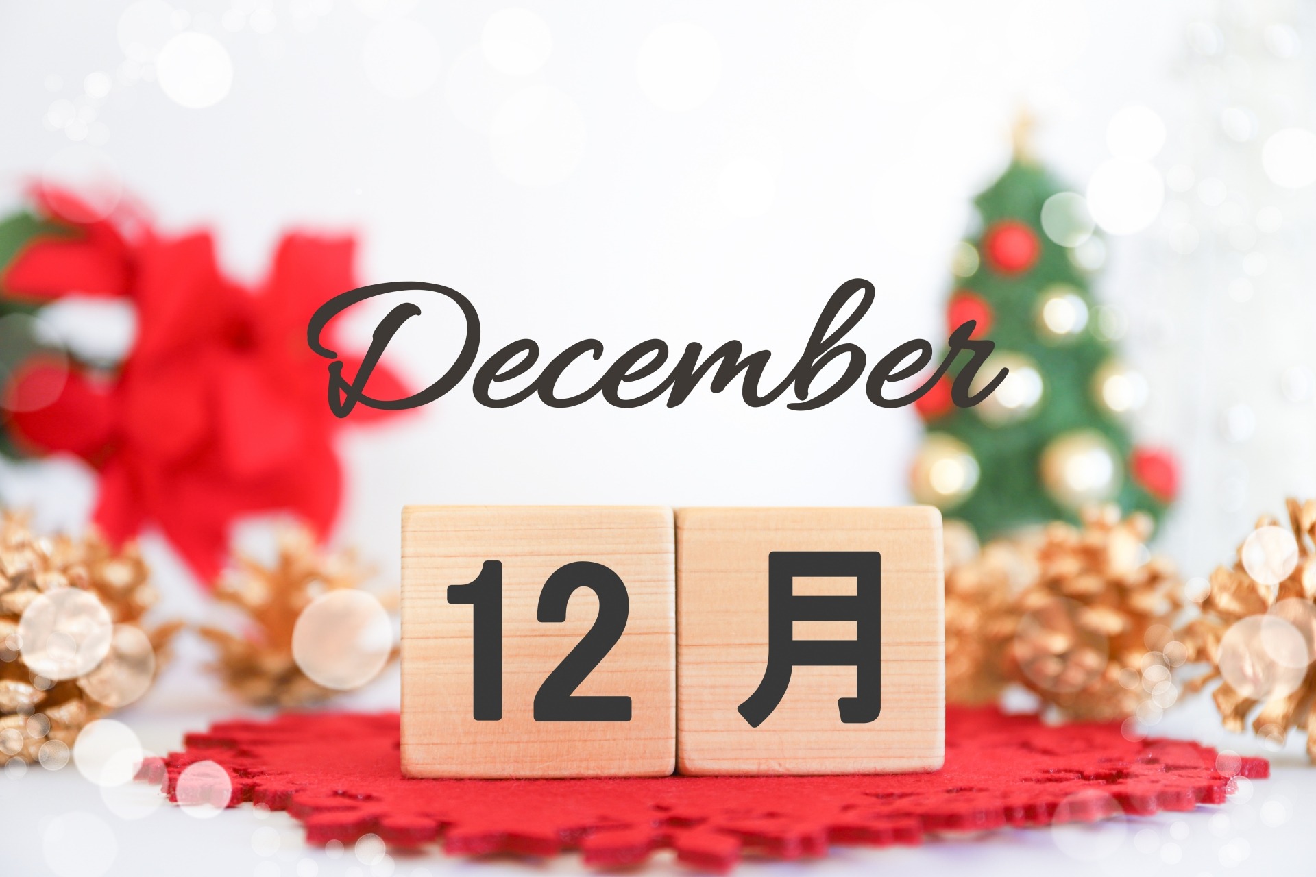 【月報】2025年12月度｜もういくつ寝るとお正月？