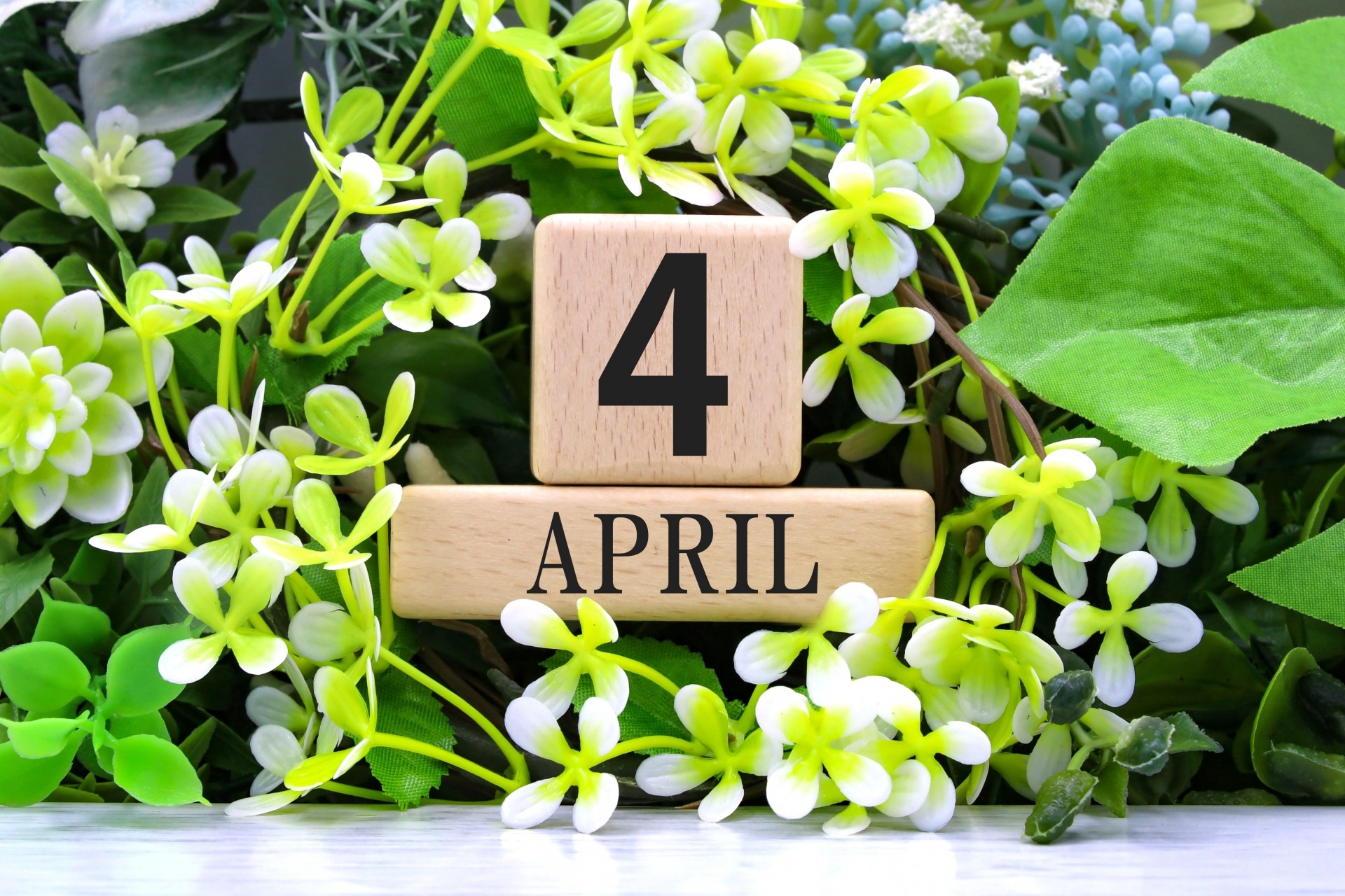 【月報】2026年4月度｜積み重ねと改善の1ヶ月