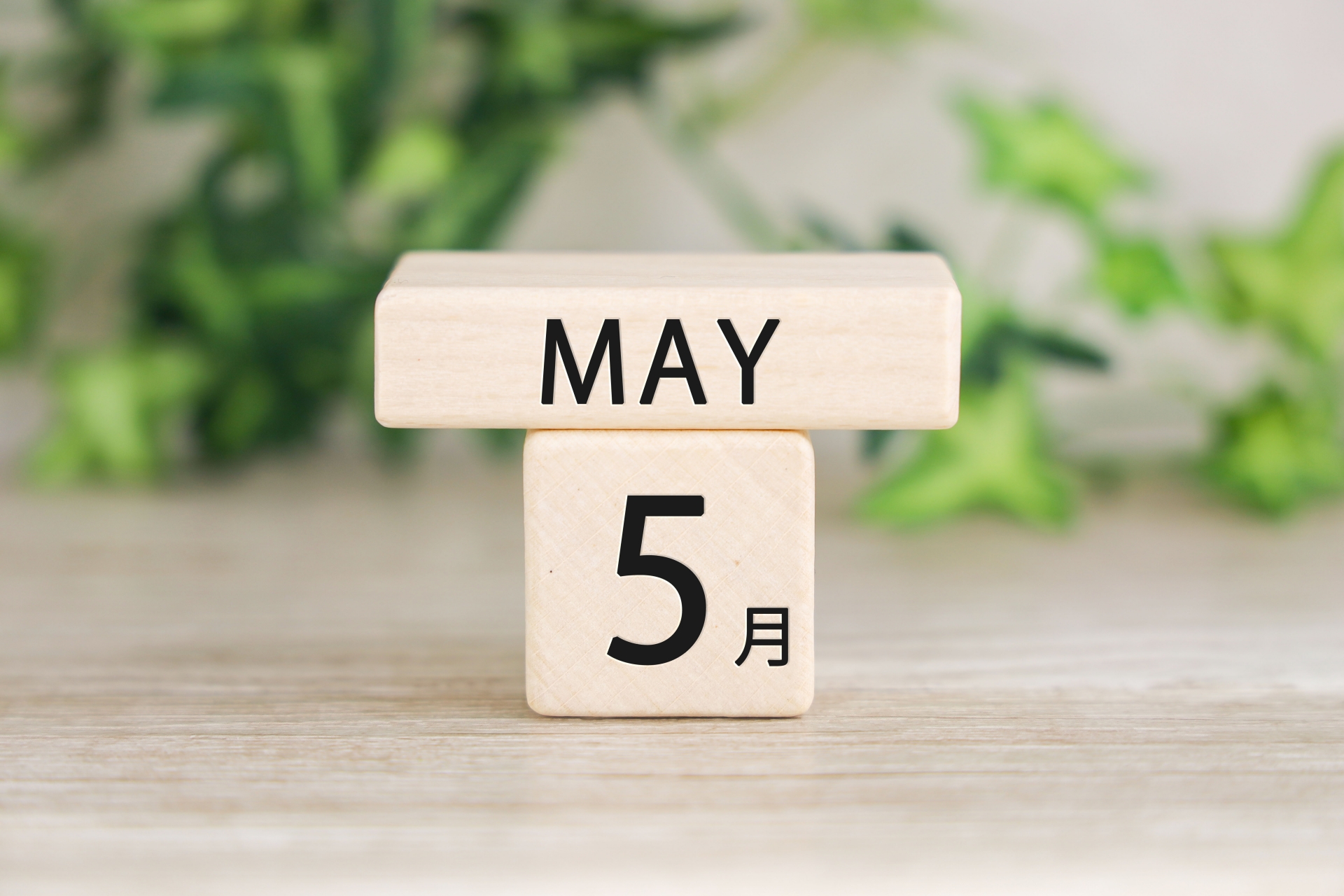 2026年5月月報