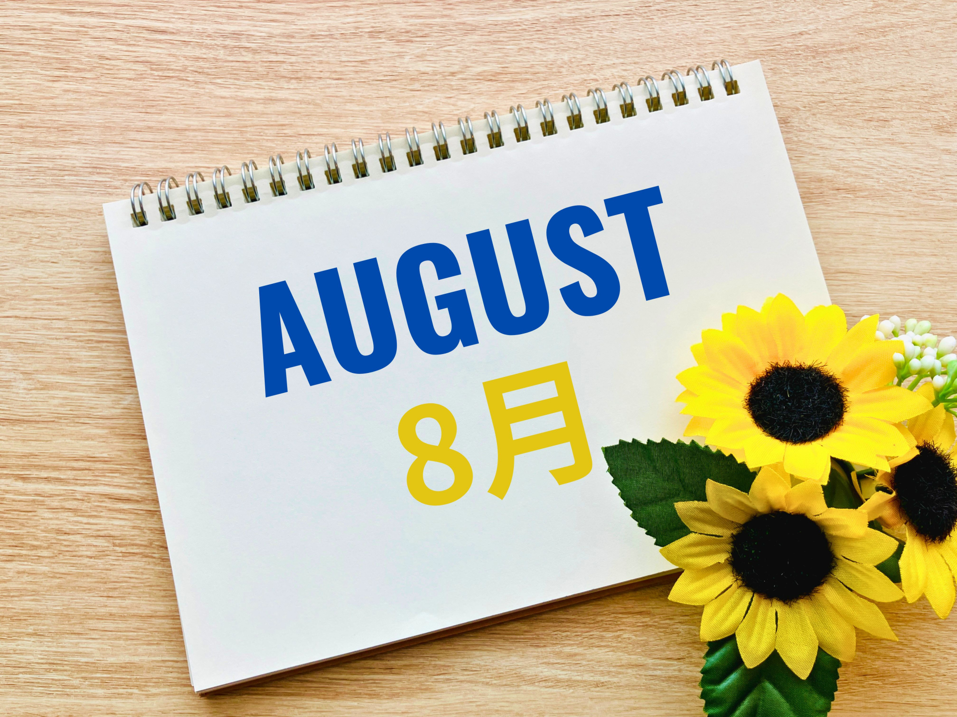 【月報】2026年8月度｜新たな分野に向き合い、制作の幅が広がった1か月